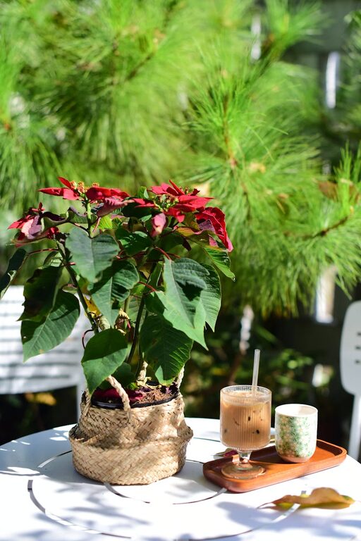 Refresh Your Weekend: Ideas for Peaceful Mornings at Home